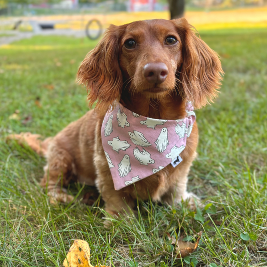 Peek-a-BOO Pink Dog Bandana