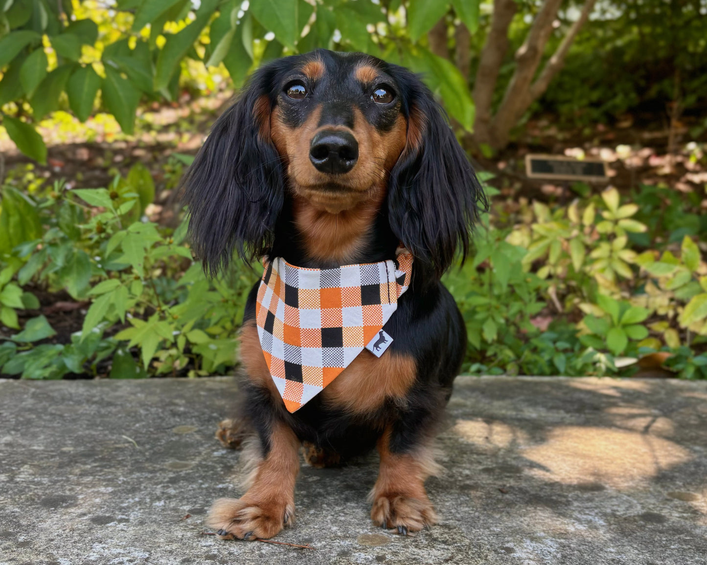 Pumpkin Plaid Scrunchie Dog Bandana