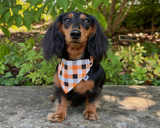 Pumpkin Plaid Dog Bandana
