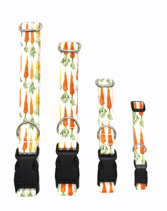 Carrot Plastic Dog Collar