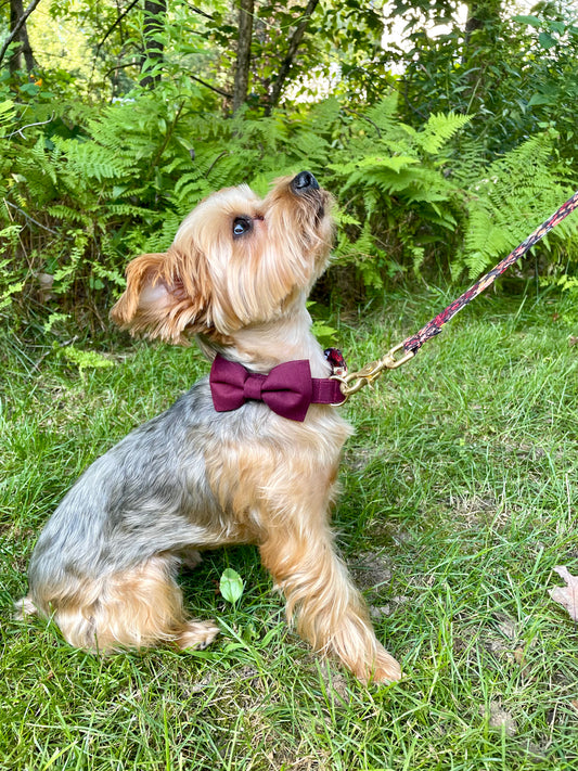 Maroon Dog Bow Ties