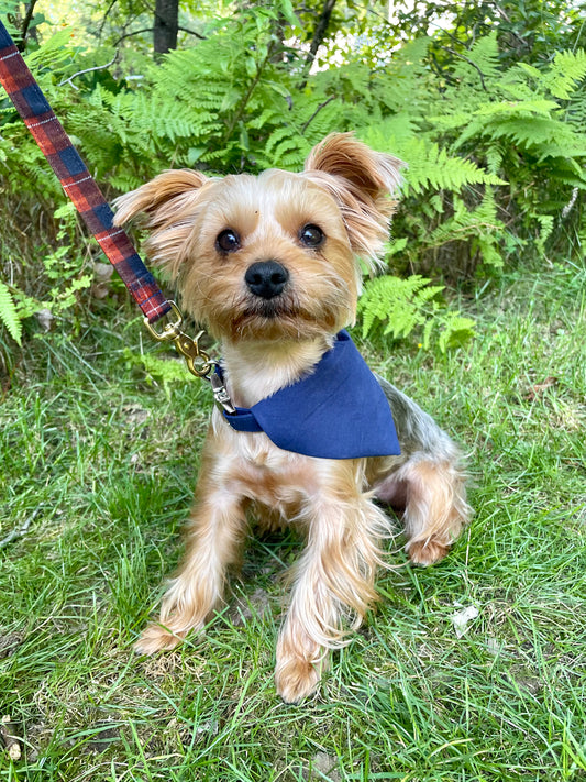 Navy Dog Bandana