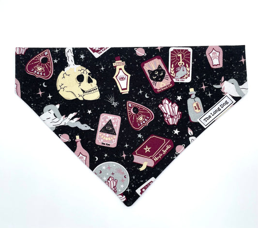 Bewitched Over the Collar Bandana