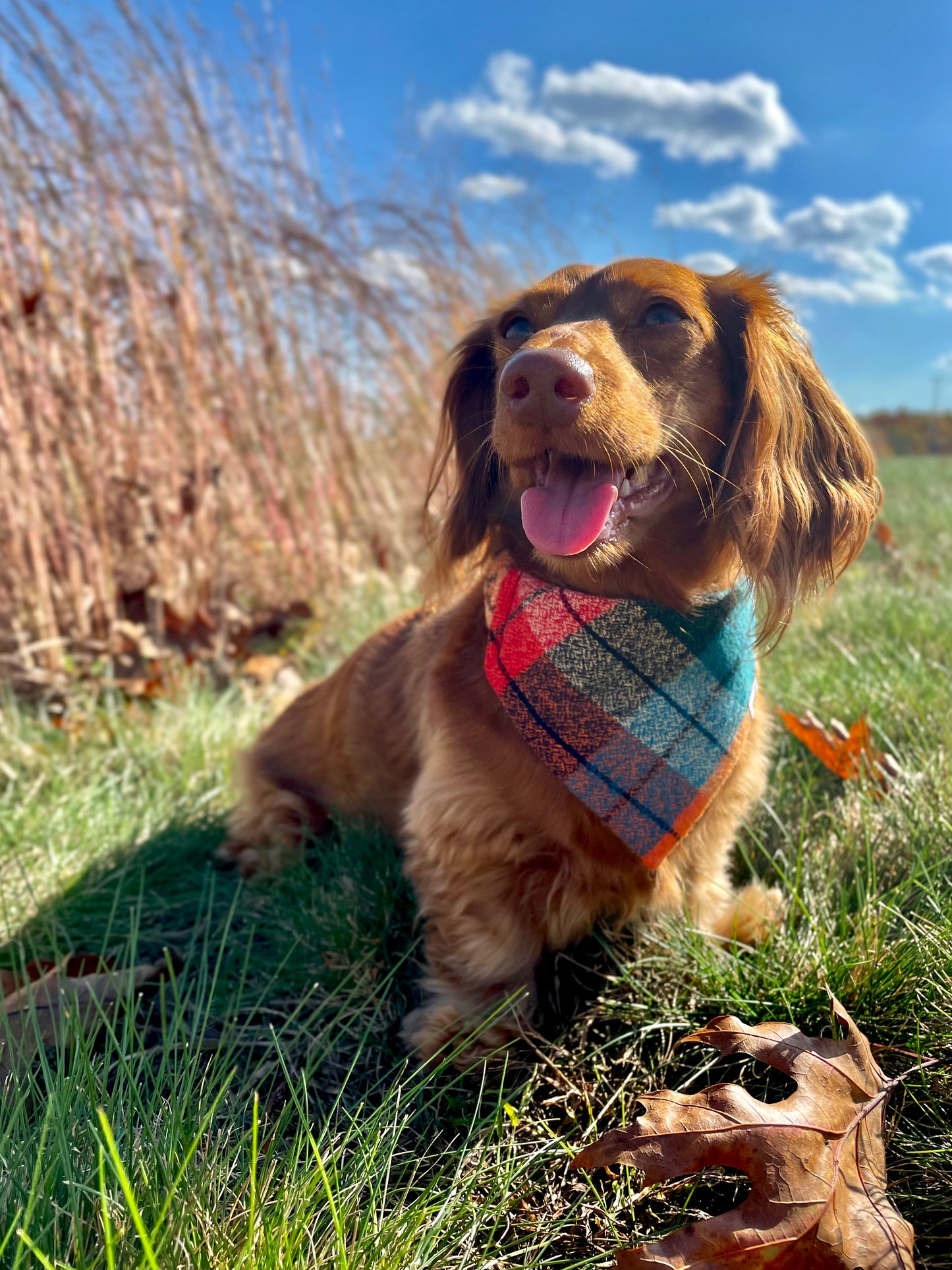 Kaleidoscope Plaid Scrunchie Dog Bandana