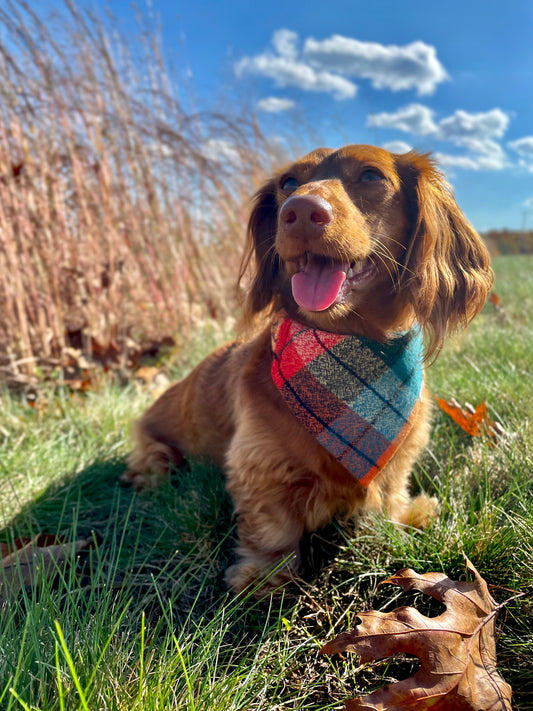 Kaleidoscope Plaid Dog Bandana