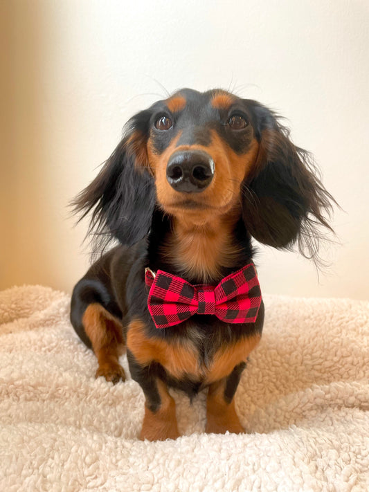 Red Buffalo Plaid Dog Bow Ties