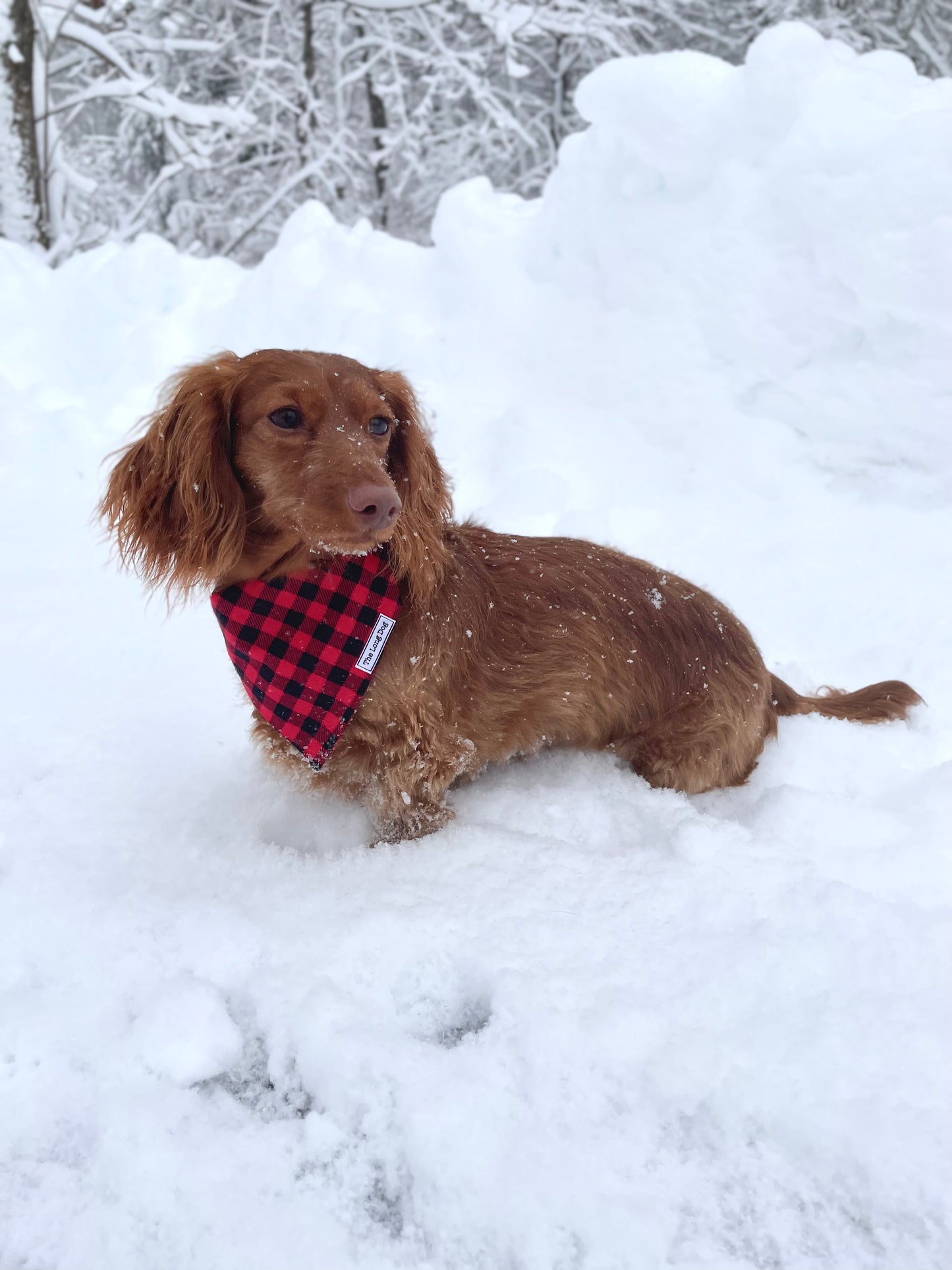 Red Buffalo Plaid Scrunchie Dog Bandana