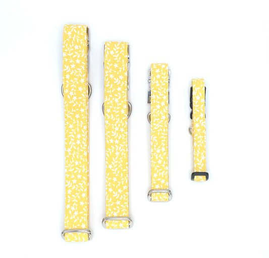 Sunshine and Daisies Dog Collar
