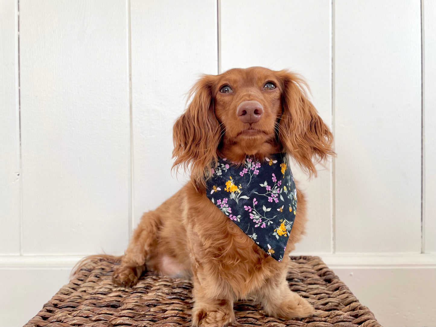 Bumblebee Garden Scrunchie Dog Bandana