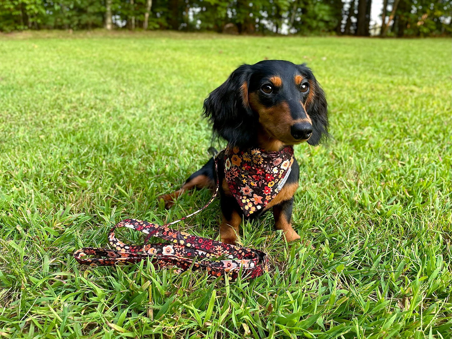 Fall Floral Over the Collar Bandana