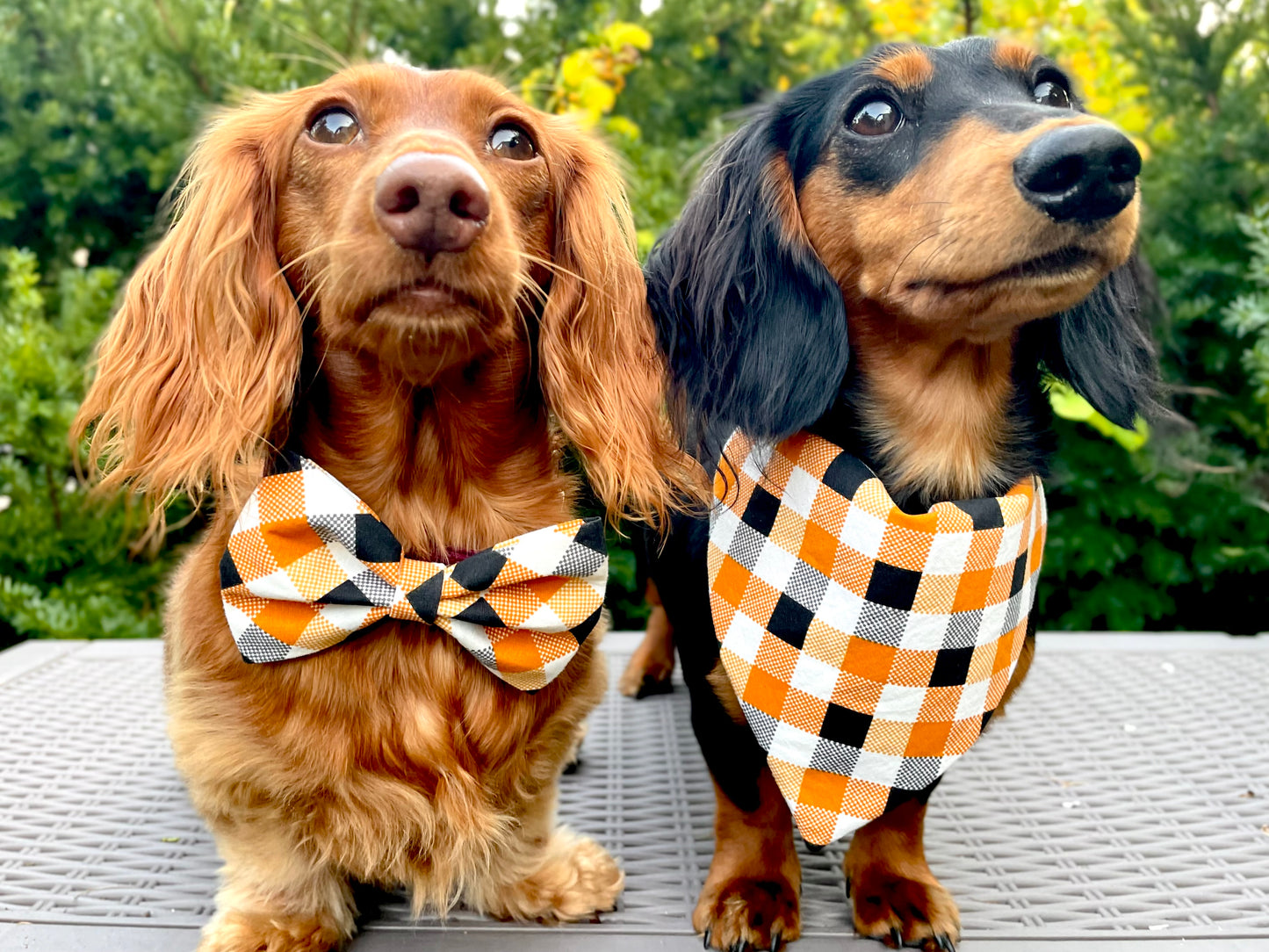 Pumpkin Plaid Dog Bandana