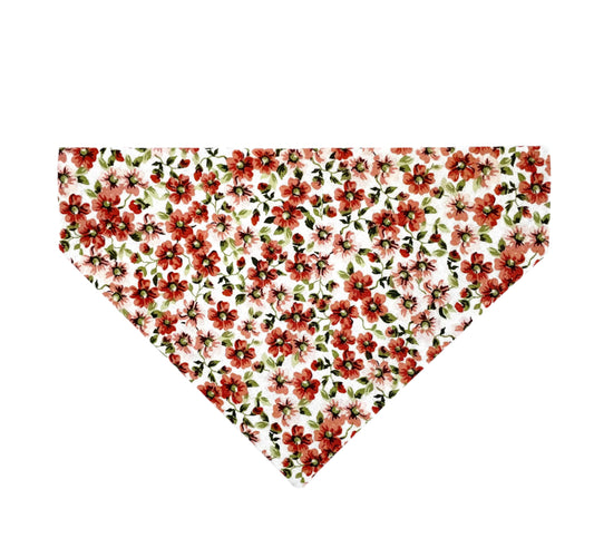 Peach Blossom Dog Bandana