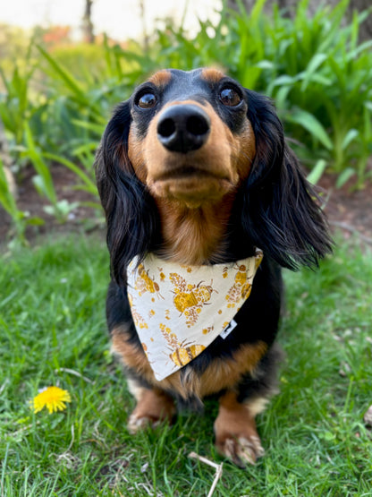 Honeybee Scrunchie Dog Bandana
