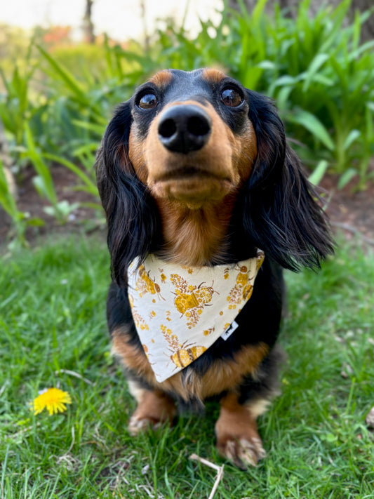 Honeybee Scrunchie Dog Bandana