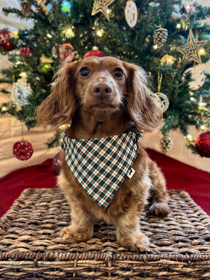 Green Country Christmas Dog Bandana