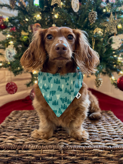 Teal Winter Woods Dog Bandana