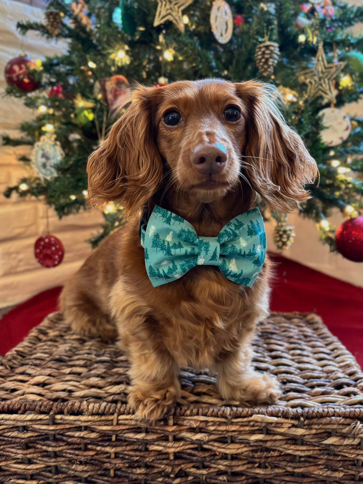 Teal Winter Woods Dog Bow Ties