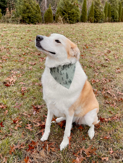 Winter Evergreen Over the Collar Bandana