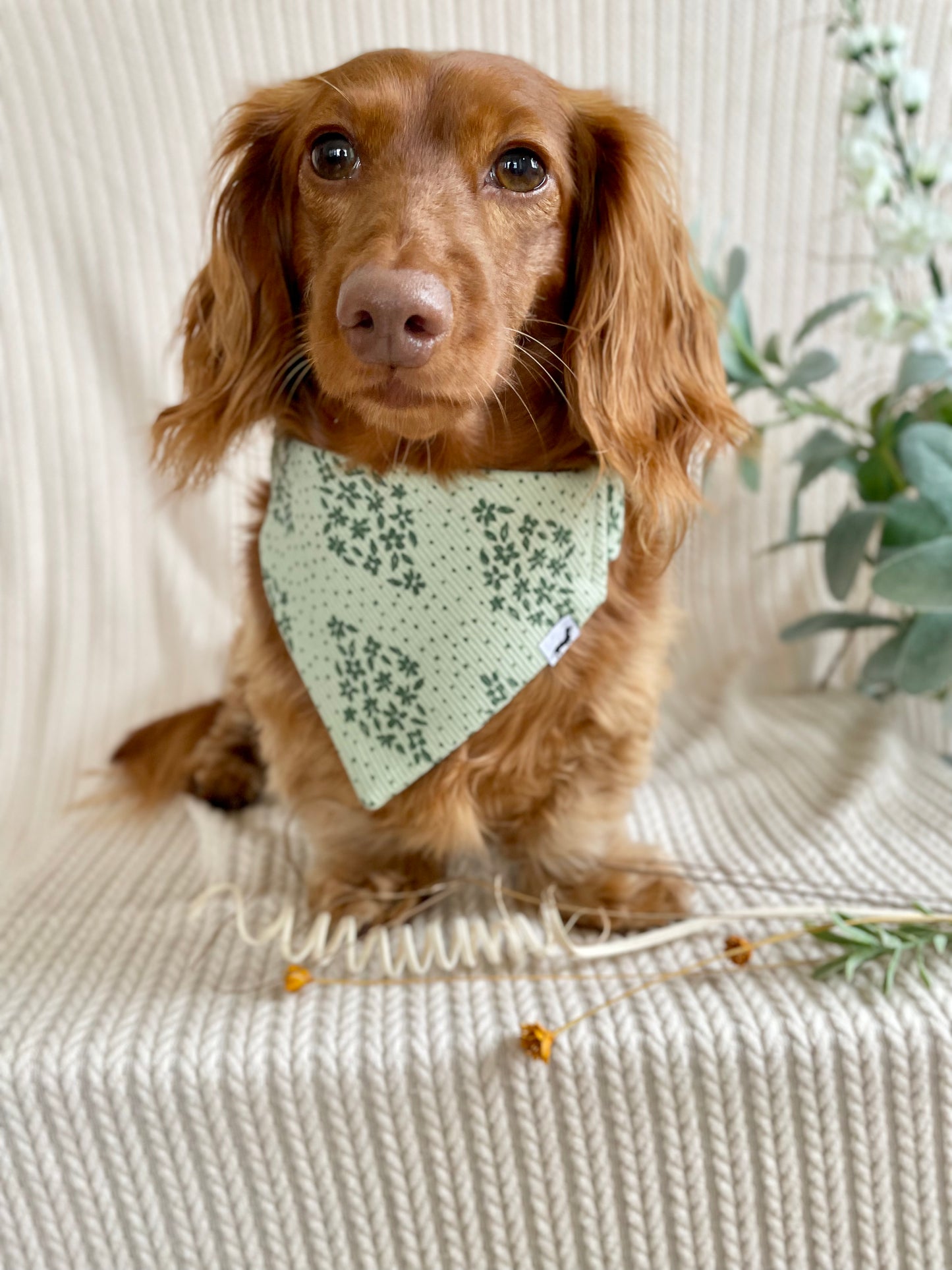 Green Grove Scrunchie Bandana