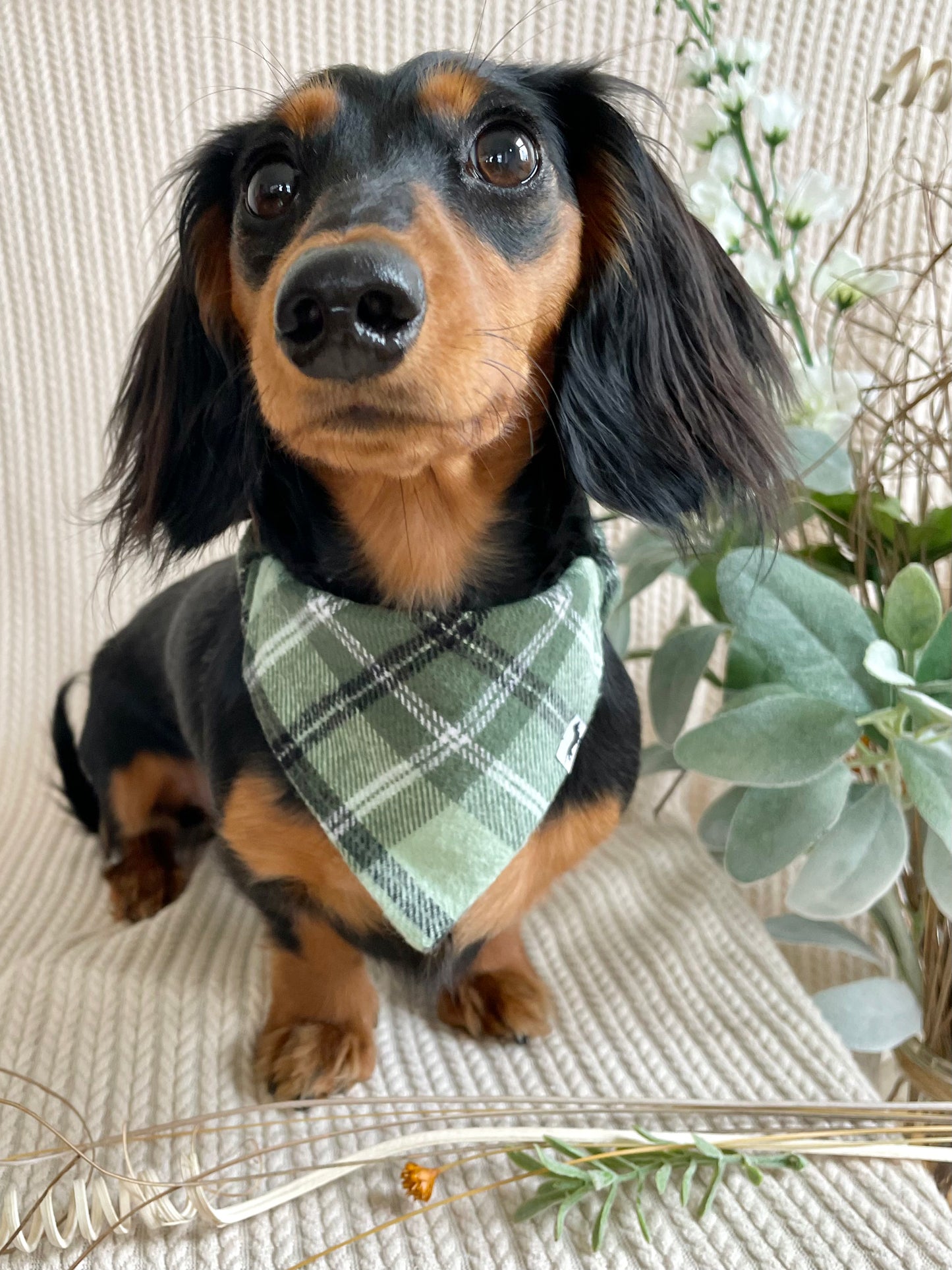 St. Patrick's Day Plaid Scrunchie Bandana