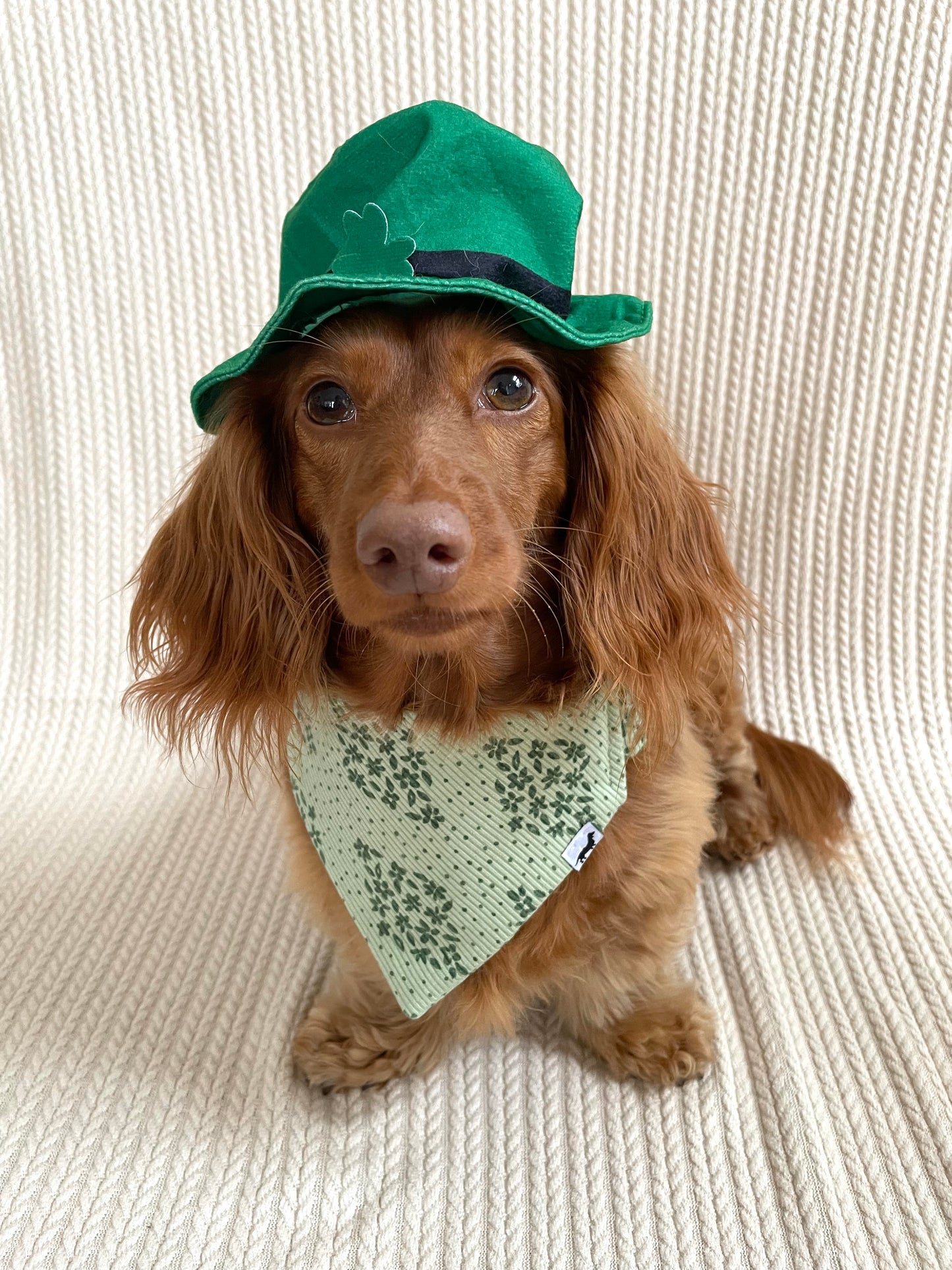 Green Grove Scrunchie Bandana