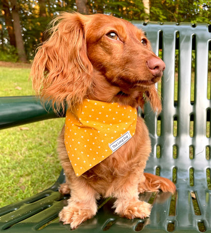 Yellow Plus Over the Collar Dog Bandana