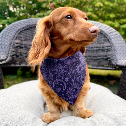 Twilight Over the Collar Dog Bandana - GLITTER!