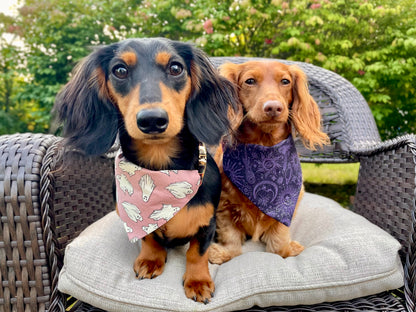 Peek-a-BOO Pink Over the Collar Bandana